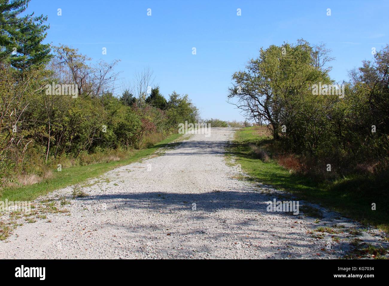 Die Farbe der Herbst im Park. Stockfoto