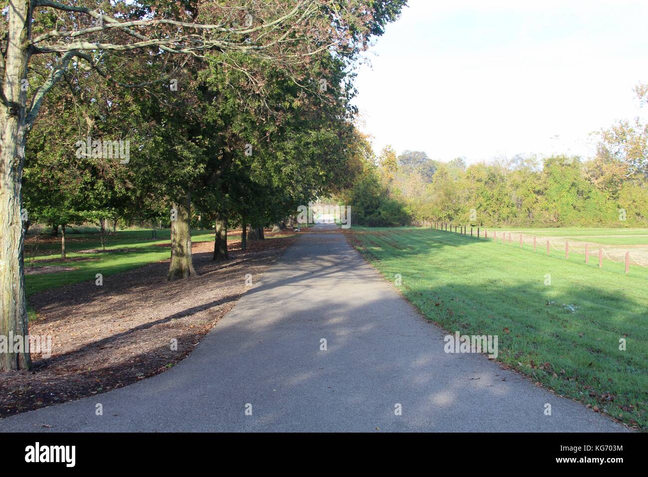 Die Farbe der Herbst im Park. Stockfoto
