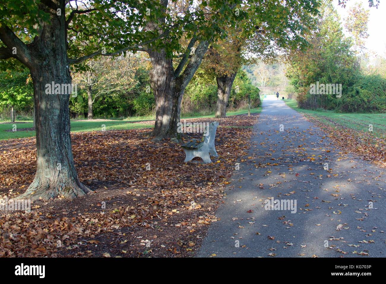 Die Farbe der Herbst im Park. Stockfoto
