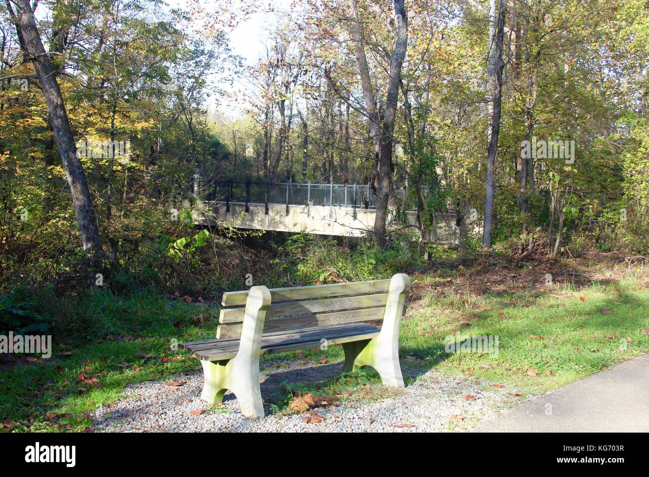 Die Farbe der Herbst im Park. Stockfoto