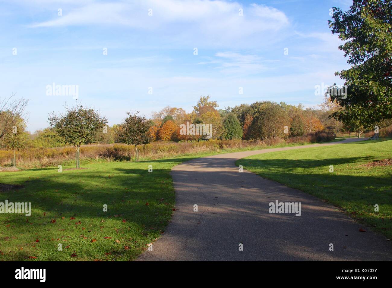 Die Farbe der Herbst im Park. Stockfoto