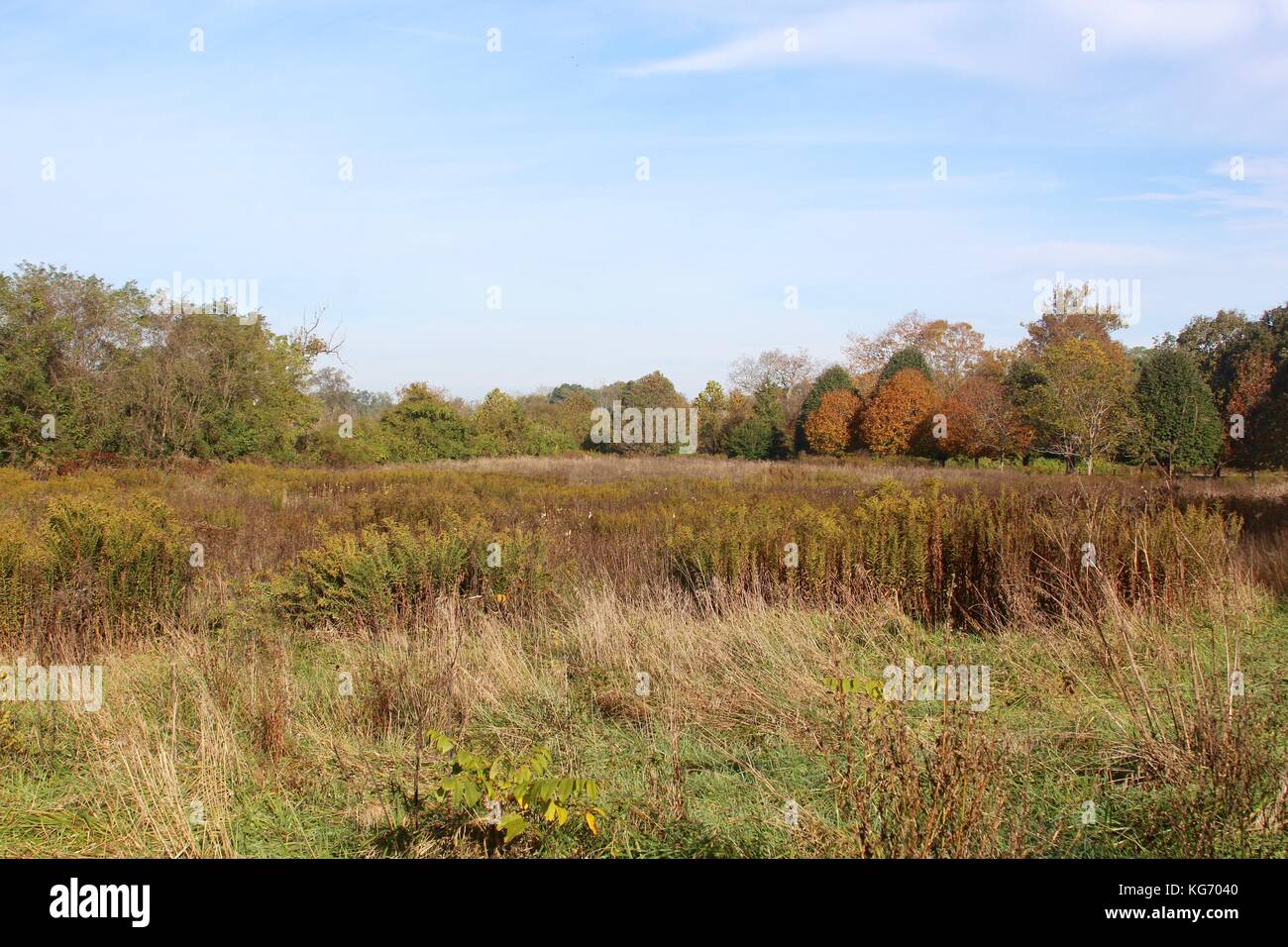 Die Farbe der Herbst im Park. Stockfoto