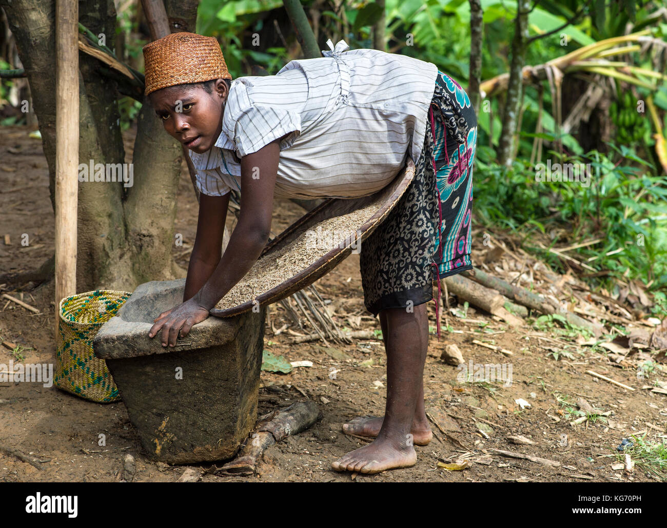 Frau Füllung ein Sieb mit gezerstoßenen Reis, ambavaniasy, Madagaskar Stockfoto