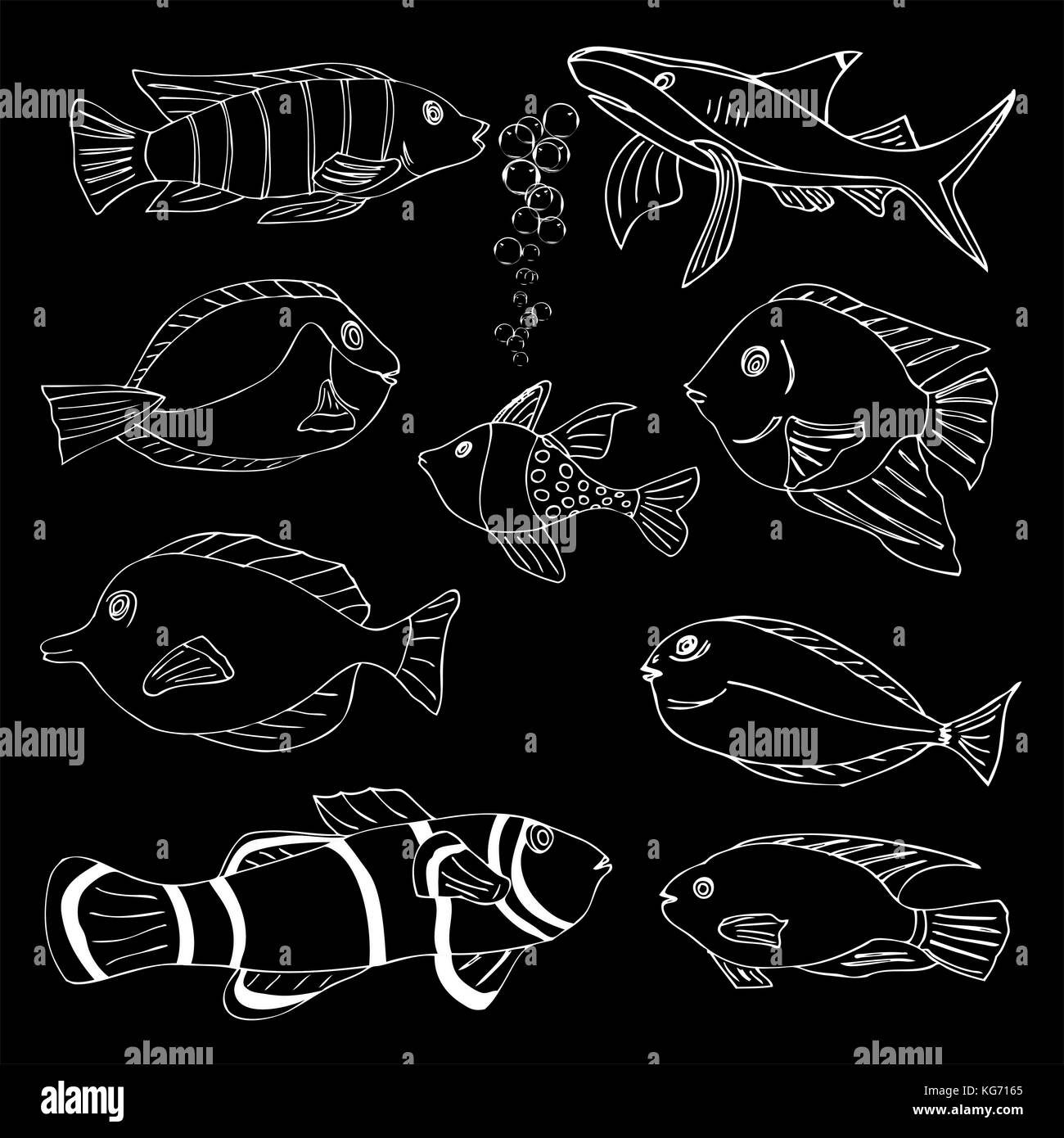 Skizze von Seefisch. doodle Vector Illustration Stock Vektor