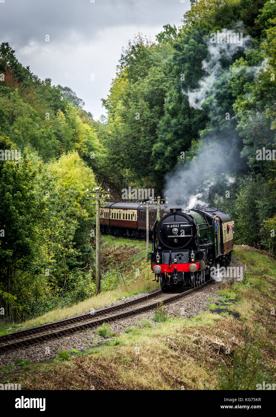 Dampflokomotive ziehen Kutschen auf den Severn Valley Eisenbahnen Stockfoto