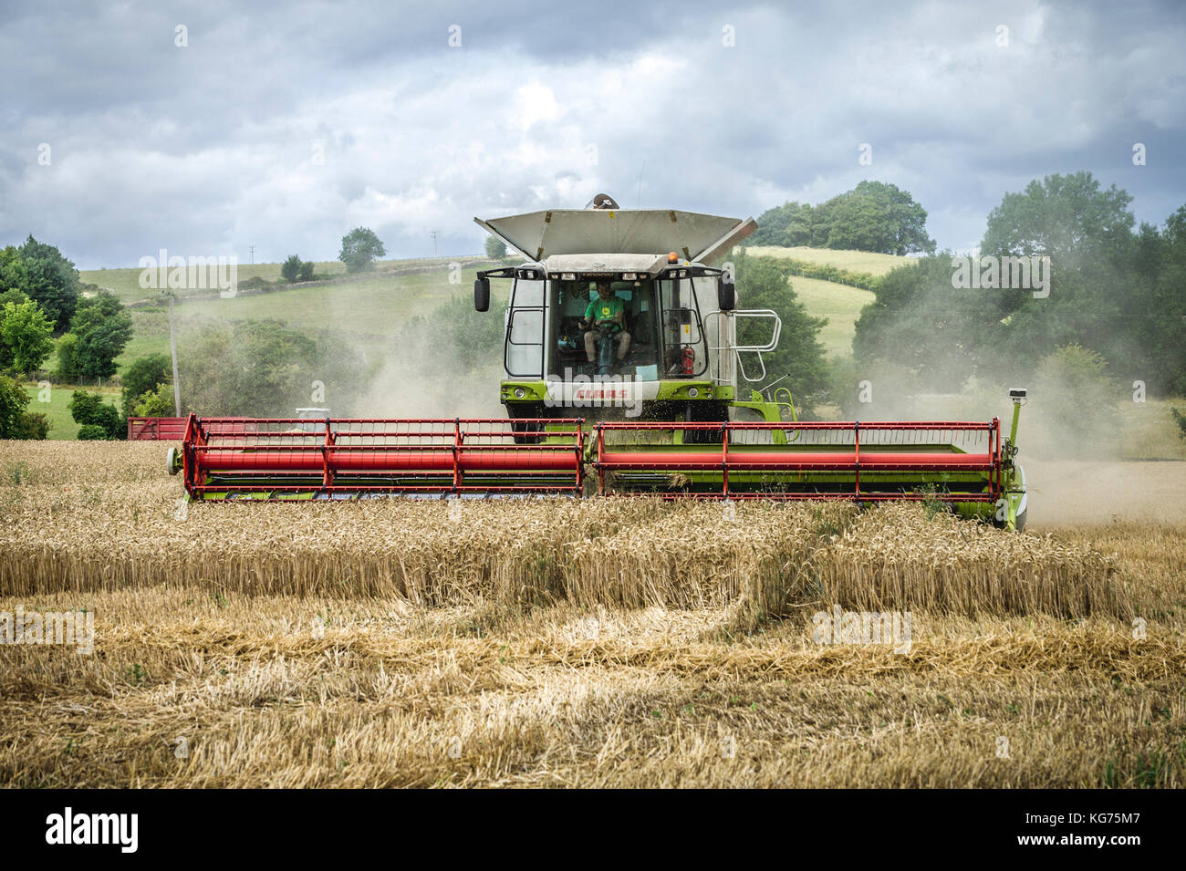 Eine kombinierte Harvester sammelt in einem Feld von Weizen in den Cotswolds, Großbritannien Stockfoto