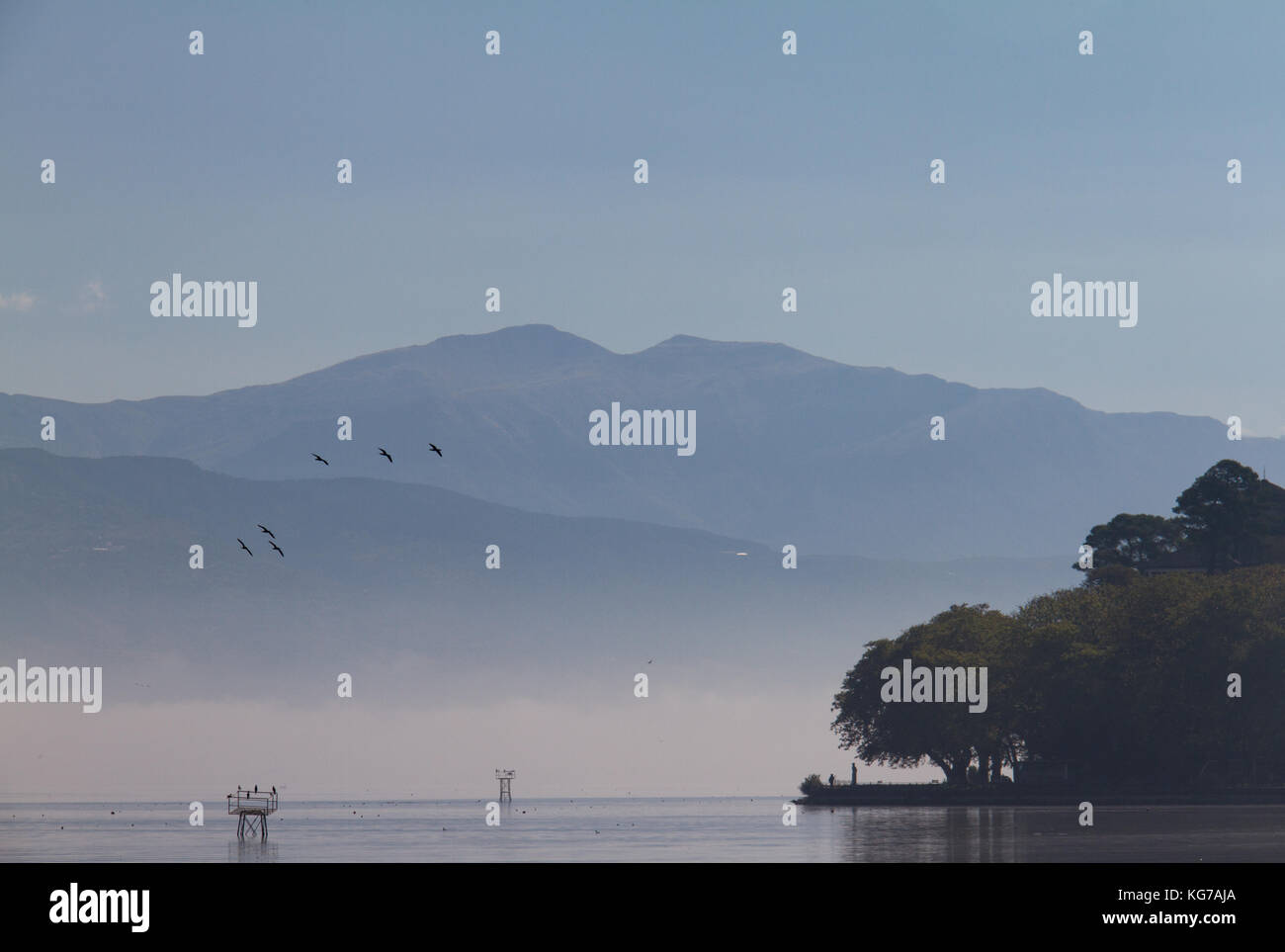 Atmosphärische Szene der Vögel auf See Pamvotis an einem nebligen Morgen in Ioannina, Griechenland Stockfoto