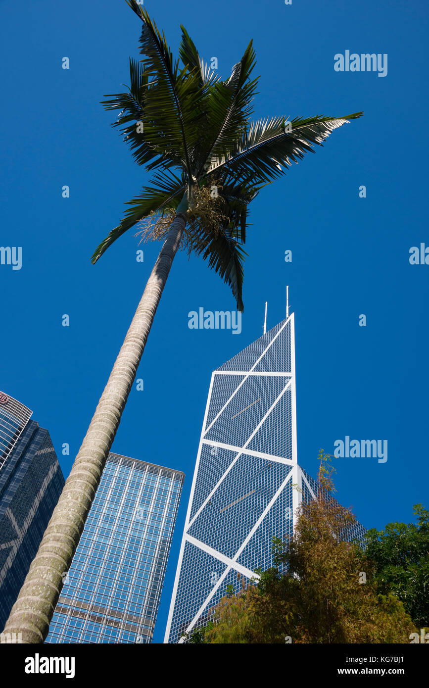 Palme und hohe Gebäude gegen den blauen Himmel, Central, Hong Kong Stockfoto