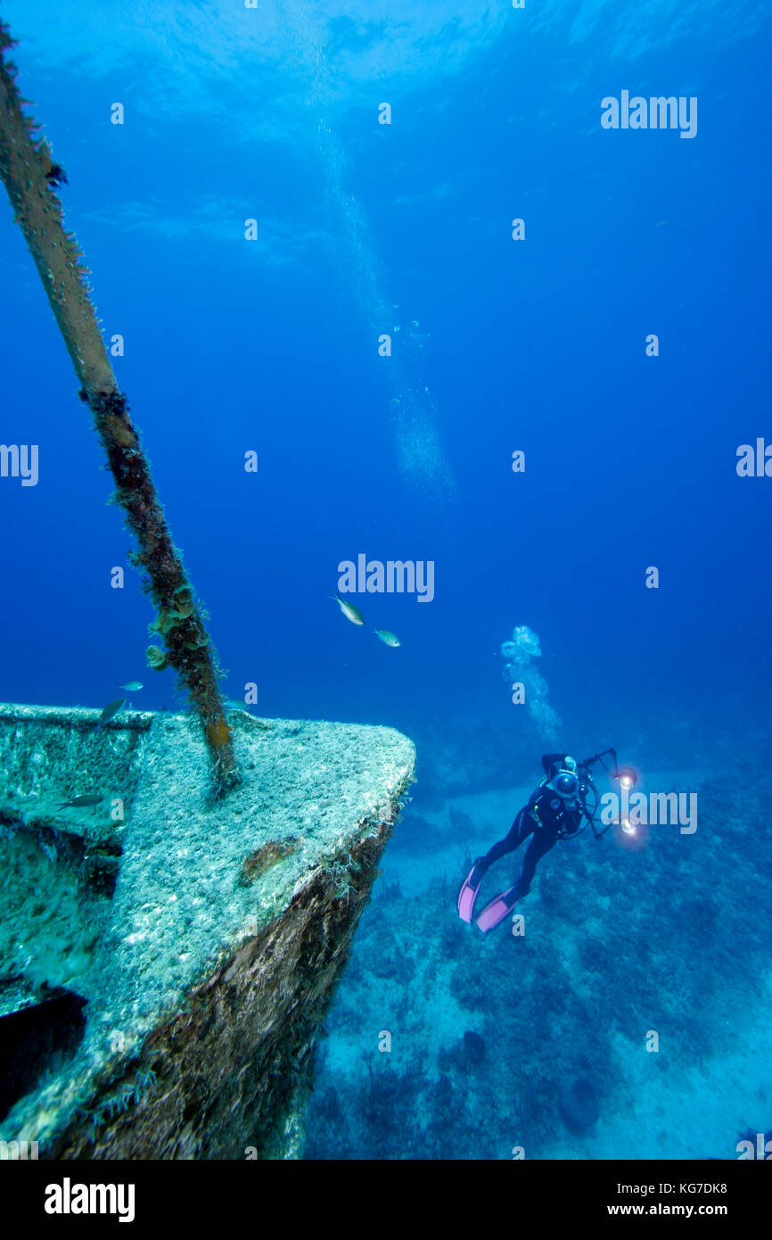 Underwater Photographer, Schiffbruch, Bahama Inseln Stockfoto