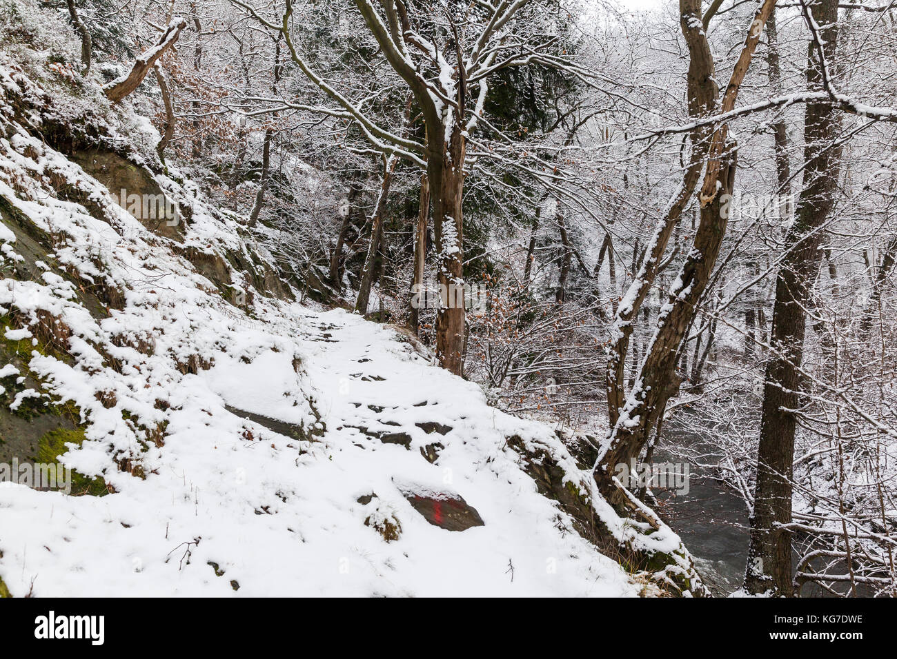 Selketal Wanderweg im Winter Stockfoto