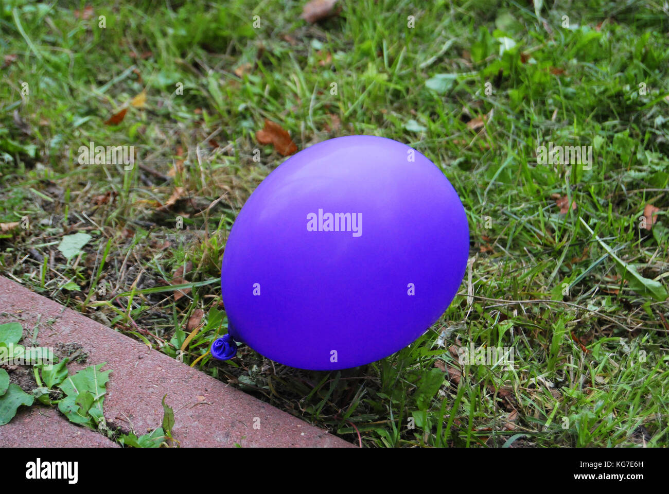 Blaue Ballon liegt auf dem Rasen nach dem Urlaub Stockfoto