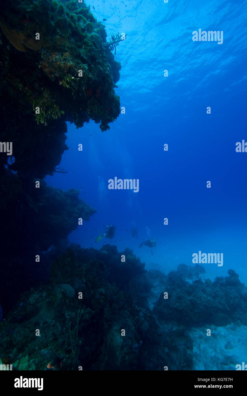 Taucher erkunden vorgelagertem Korallenriff Eleuthera, Bahamas Stockfoto