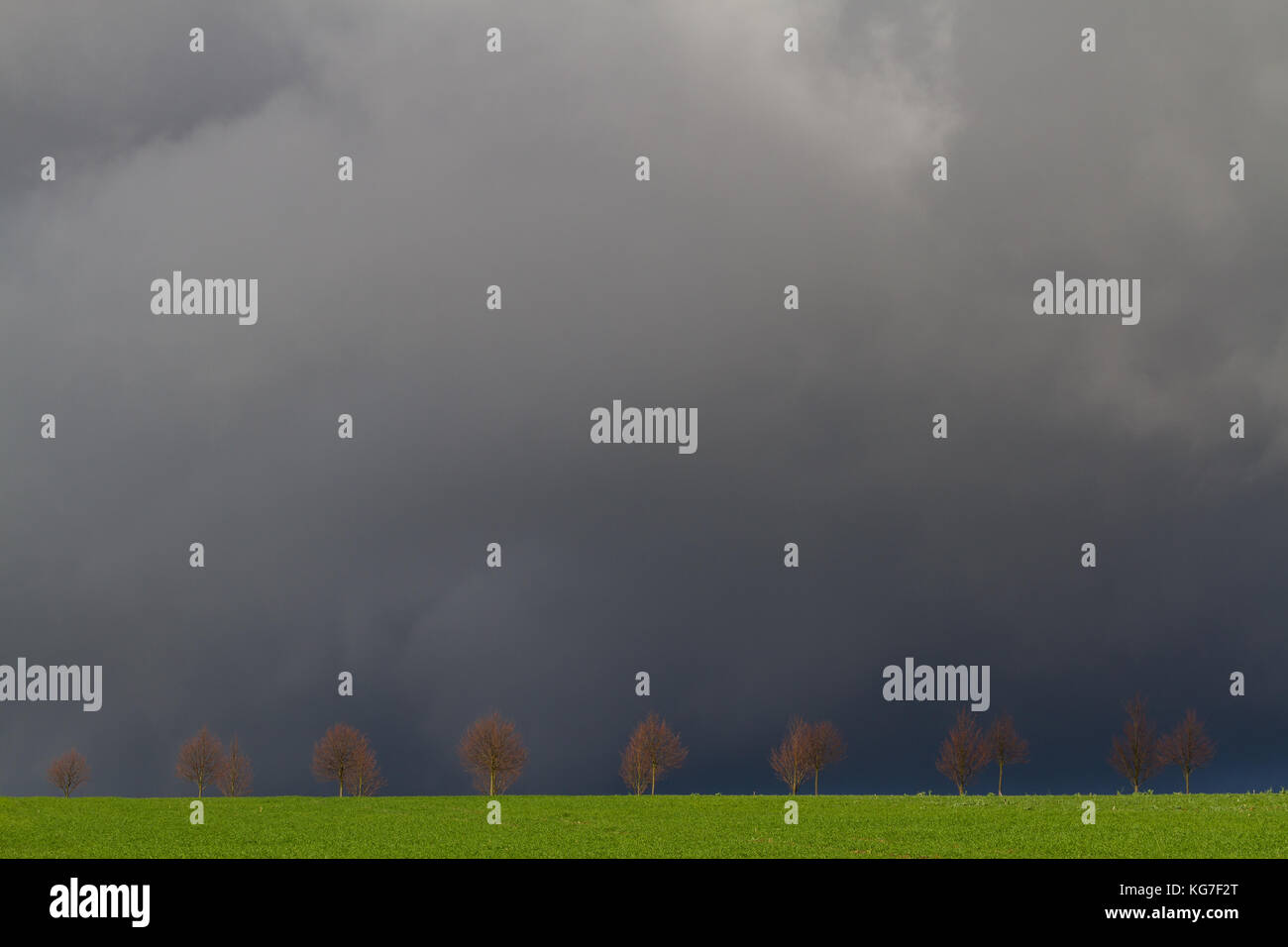 Regenstimmung Stockfoto