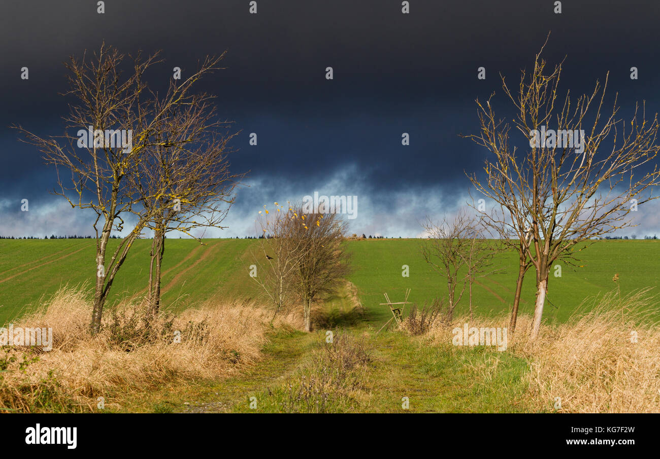 Regenstimmung Stockfoto