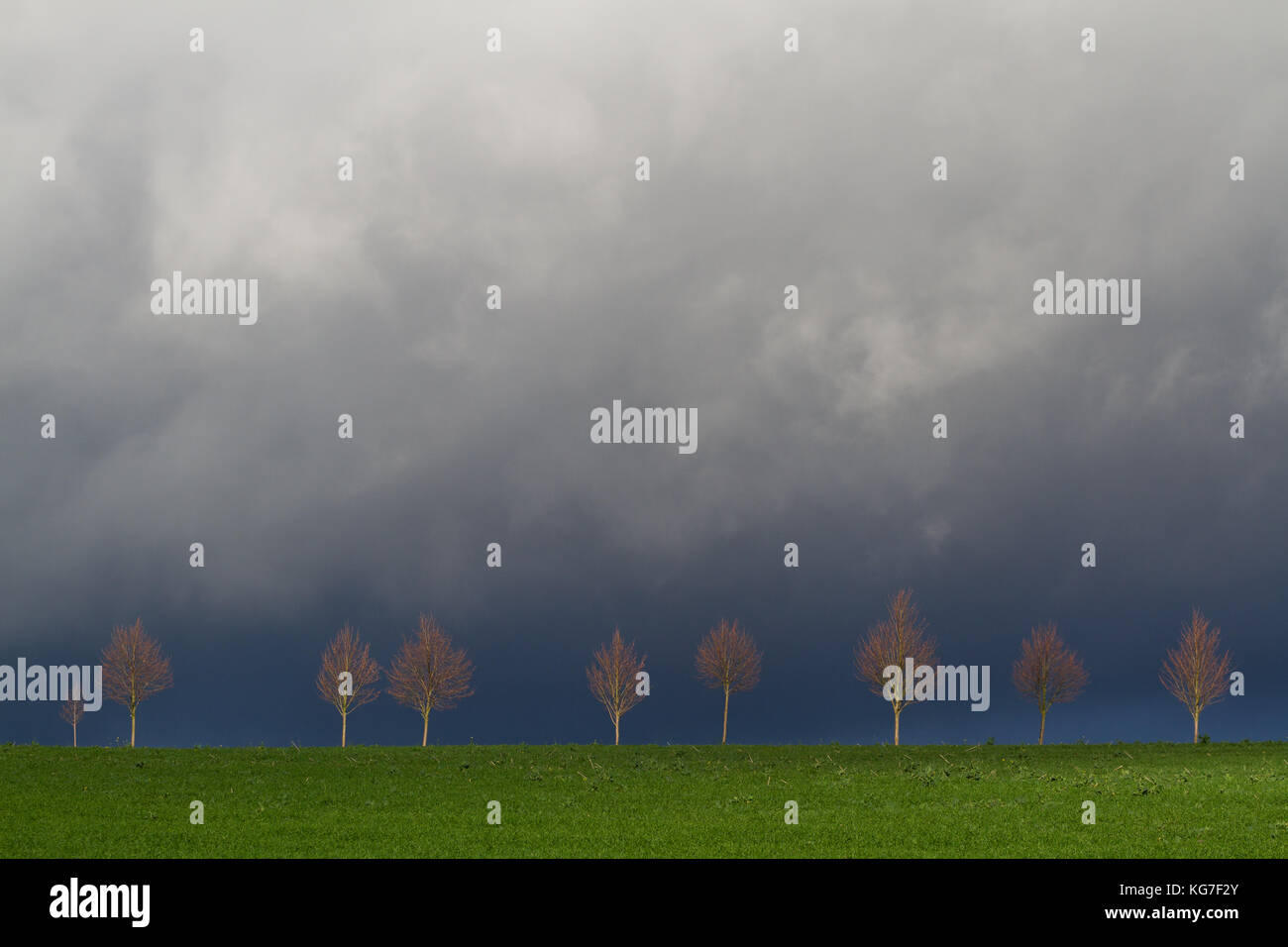 Regenstimmung Stockfoto