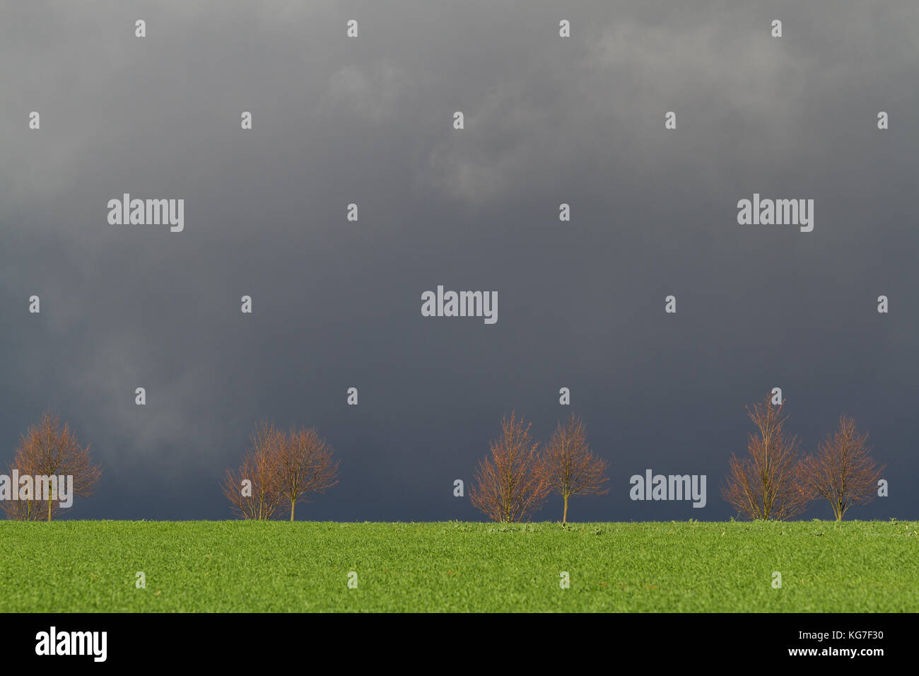 Regenstimmung Stockfoto