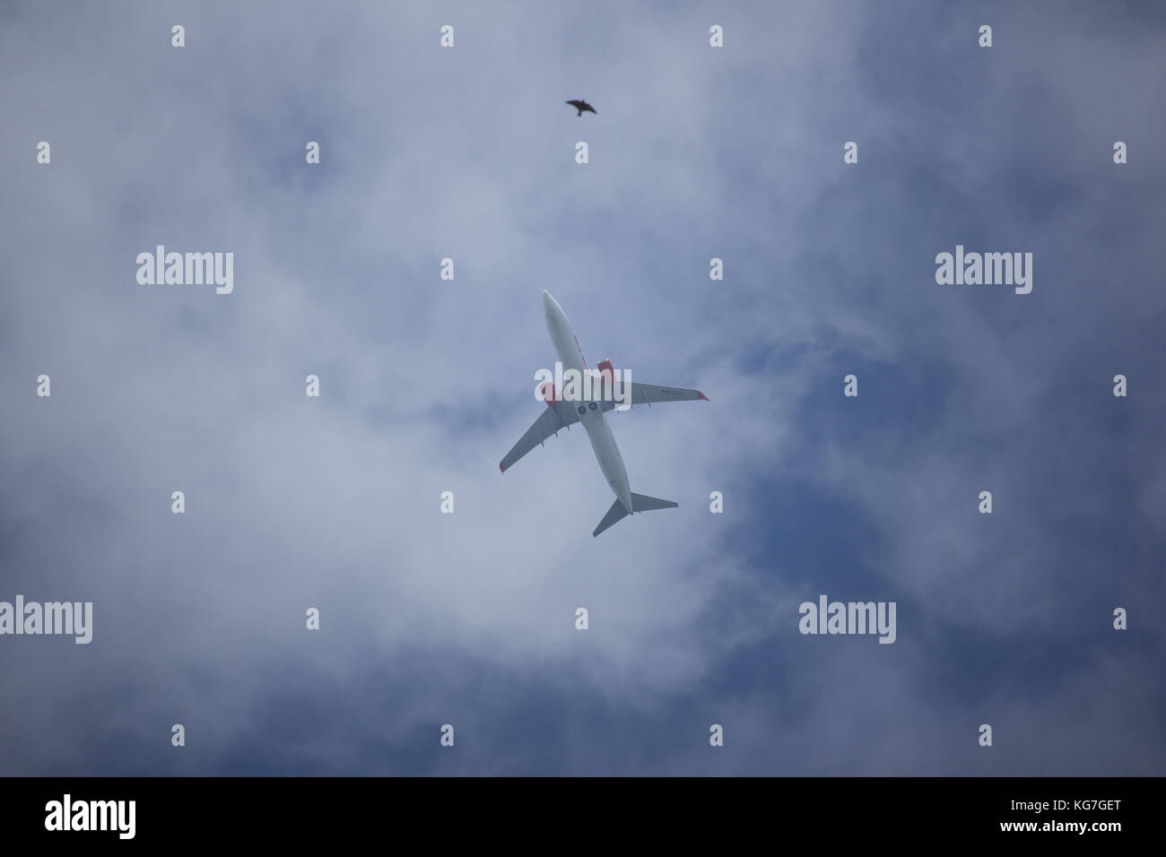 Chiang Mai, Thailand - 24. Oktober 2017: hs-luj Boeing 737-800 der Thai lionair Airline. Nehmen Sie vom Flughafen Chiangmai nach Bangkok. Stockfoto