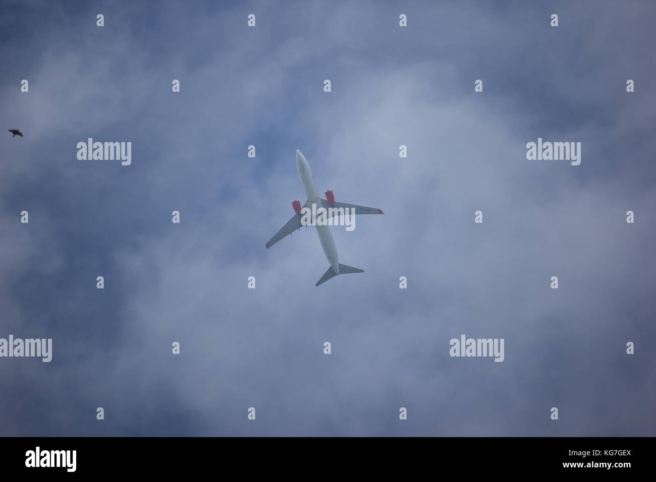Chiang Mai, Thailand - 24. Oktober 2017: hs-luj Boeing 737-800 der Thai lionair Airline. Nehmen Sie vom Flughafen Chiangmai nach Bangkok. Stockfoto