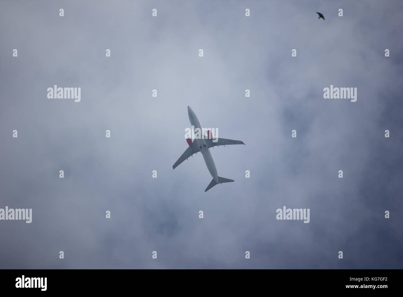 Chiang Mai, Thailand - 24. Oktober 2017: hs-luj Boeing 737-800 der Thai lionair Airline. Nehmen Sie vom Flughafen Chiangmai nach Bangkok. Stockfoto