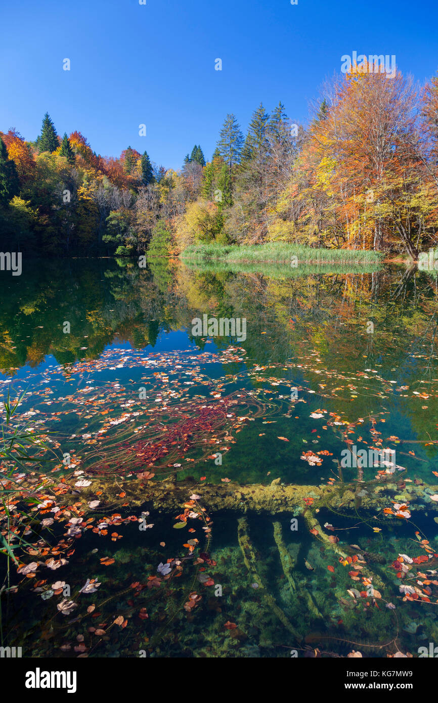 Herbst im Nationalpark Plitvicer Seen, Kroatien Stockfoto