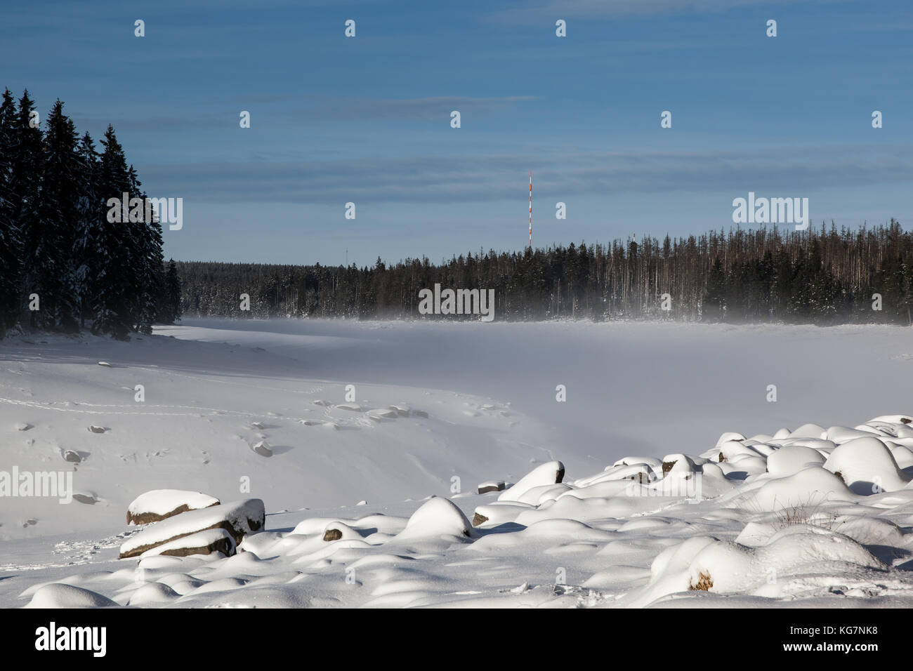 Blick auf den Oderteich Nationalpark Harz Stockfoto