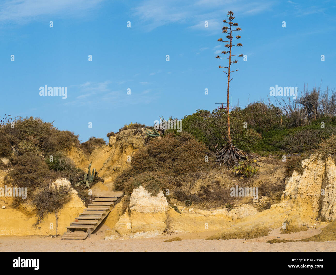 Sandstrand auf Gale an der Südküste Portugals Stockfoto