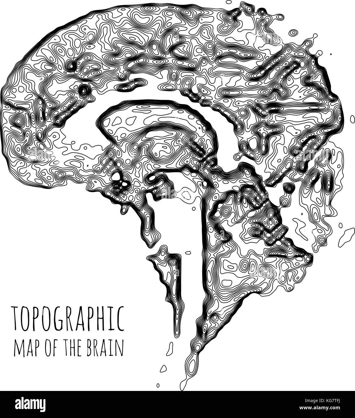 Das Gehirn in der Form einer topographischen Karte. das Konzept der modernen Technik, Datenübertragung zwischen Neuronen. Stock Vektor