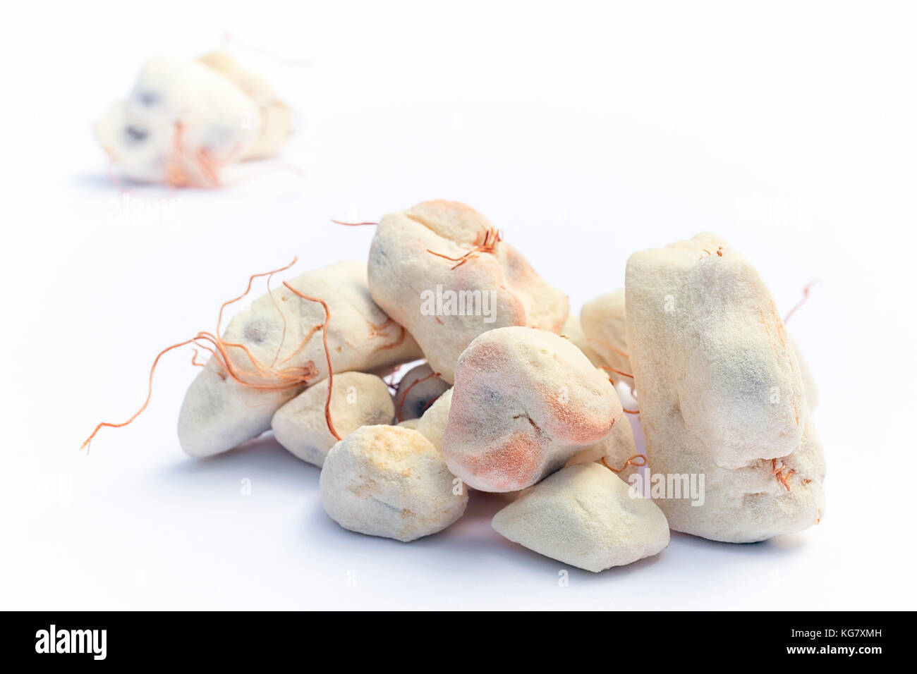 Baobab Obst (Adansonia digitata) auf weißem Hintergrund, Zellstoff und Pulver, superfood Stockfoto