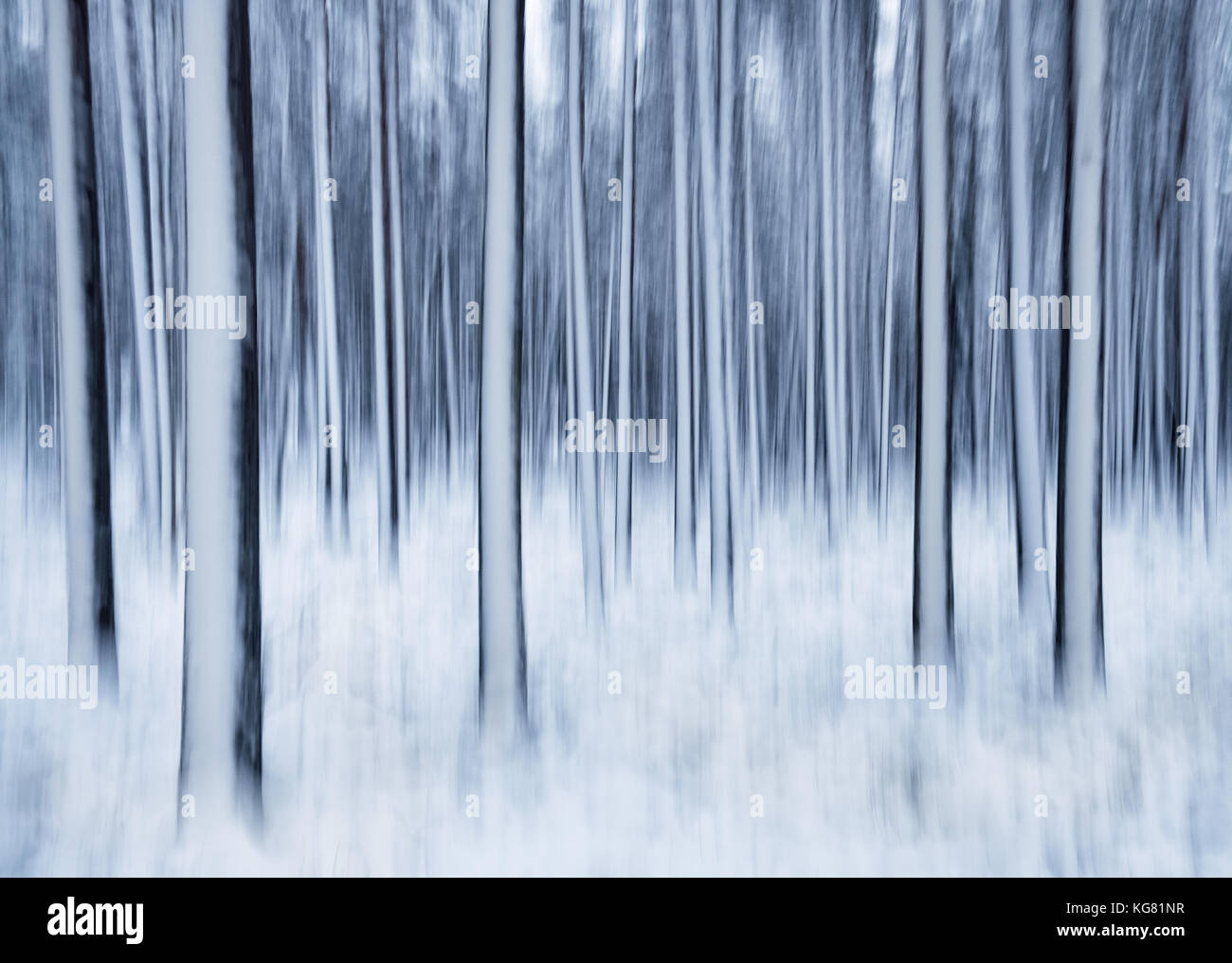 Winter Landschaft mit Bäumen und Schnee. Dies ist durch Schütteln Kamera wenig in langen Exposition berücksichtigt. Stockfoto