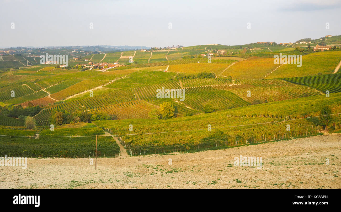 Panoramablick auf den berühmten Weinbergen des Piemont, Langhe und Monferrato und Roero Gebiet Stockfoto