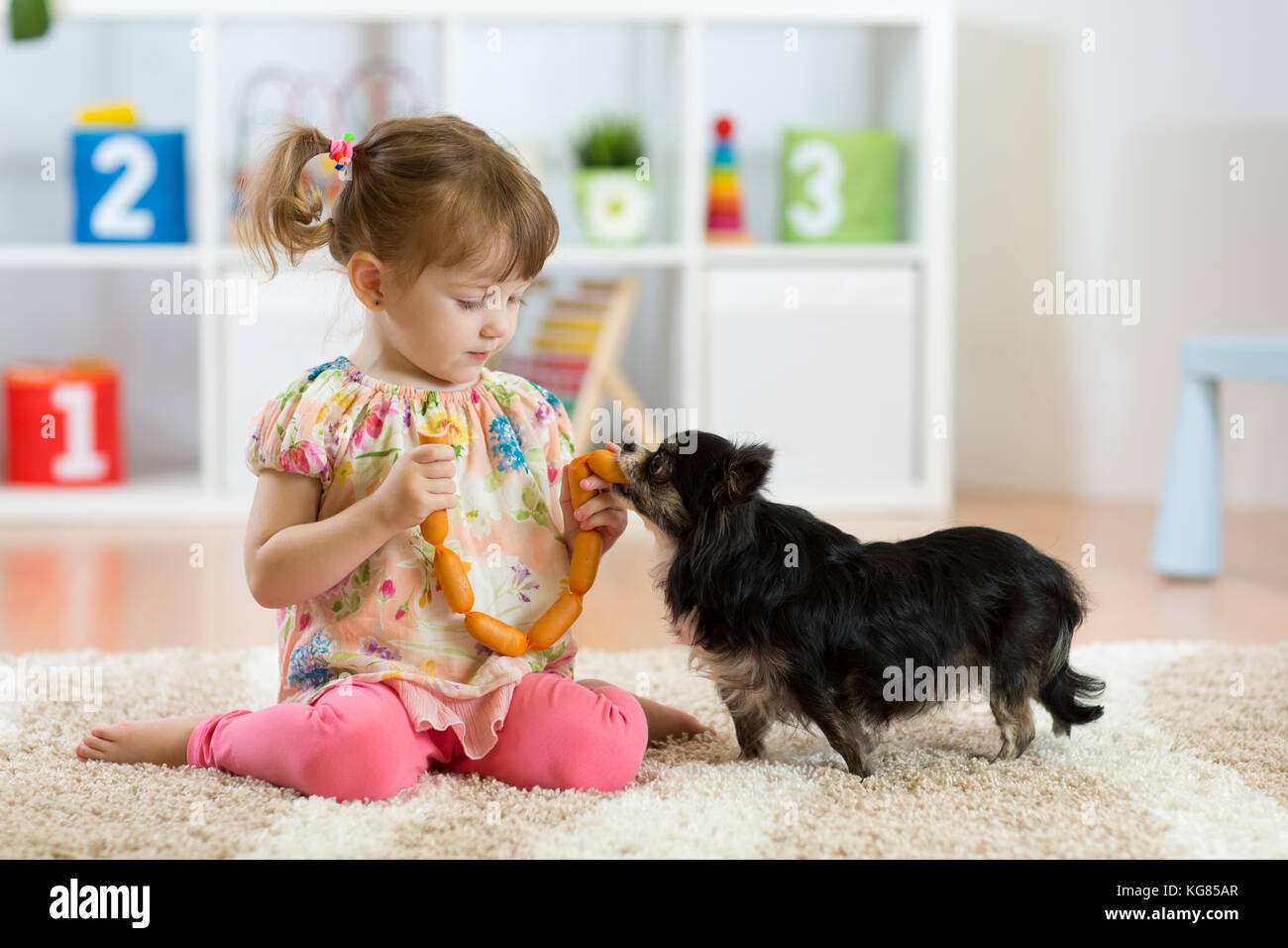 Kleines Mädchen feeds Hund auf dem Boden im Zimmer Stockfoto