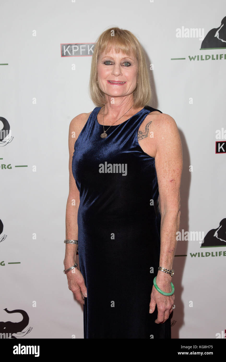 Los Angeles, Kalifornien, USA. 4. november 2017. Karen Lund an Tusk nach Einbruch der Dunkelheit: Nacht der 1000 Elefanten Nutzen für die Tierwelt sos-Organisation bei Avalon Hollywood in Los Angeles, Kalifornien am 4. November 2017. Credit: Sheri determan/alamy leben Nachrichten Stockfoto