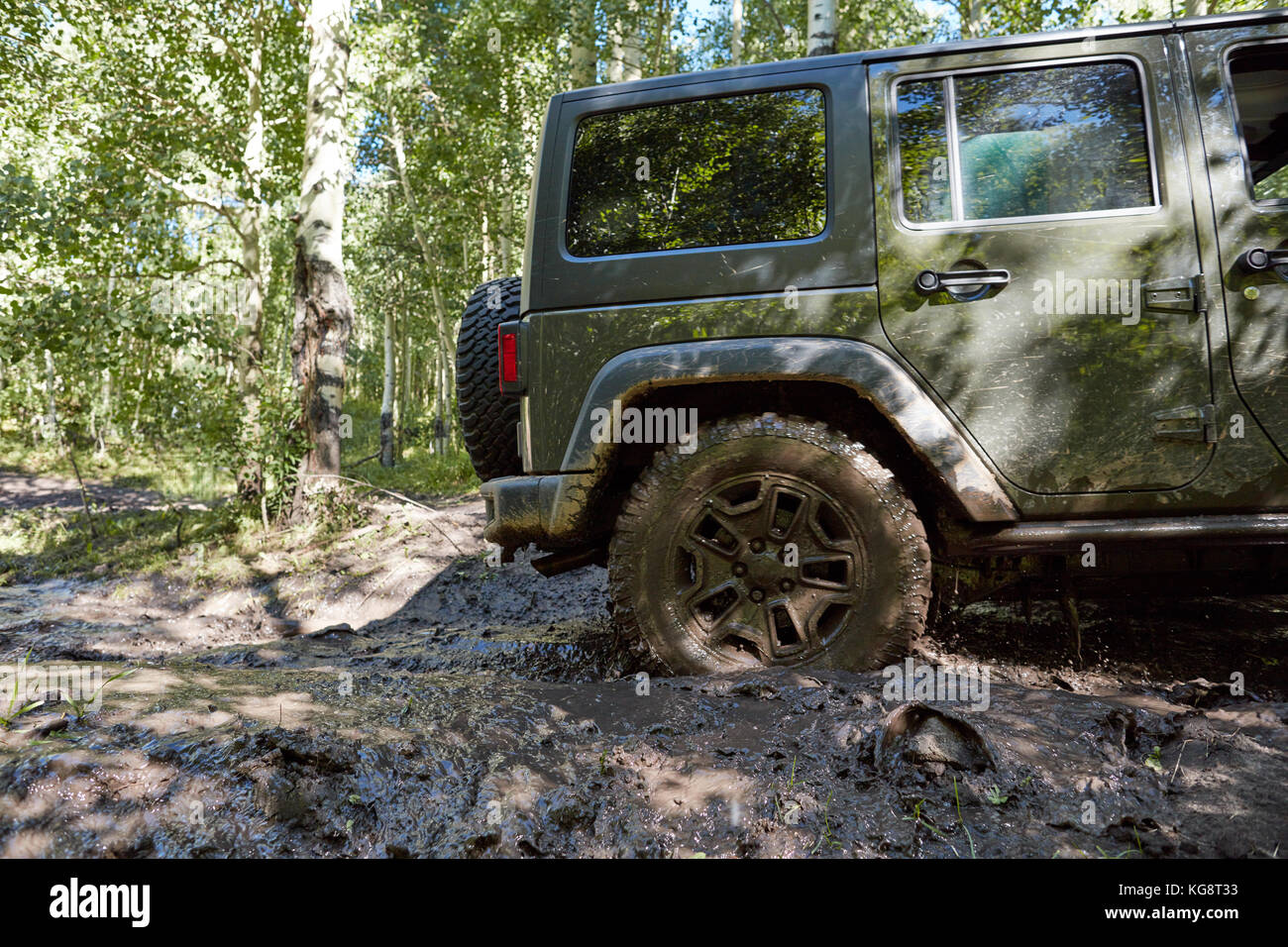 Hinterrad eines 4wd in weichem Schlamm festgefahren auf einem Waldweg in der Nähe zu Seitenansicht während einer off road Expedition Stockfoto