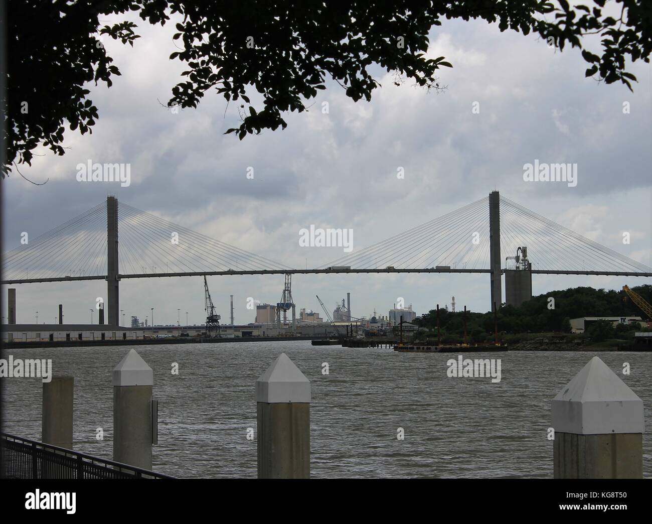 Die talmadge Memorial Bridge überspannt den Savannah River, Savannah, Georgia, USA. Stockfoto