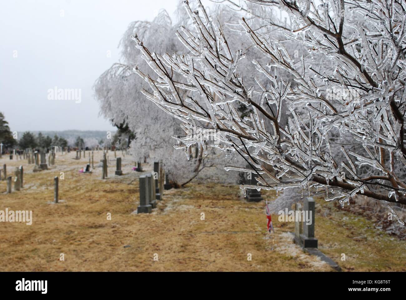 Friedhof nach einem Eissturm. Bäume, Gras, und die Grabsteine mit Eis bedeckt. Stockfoto