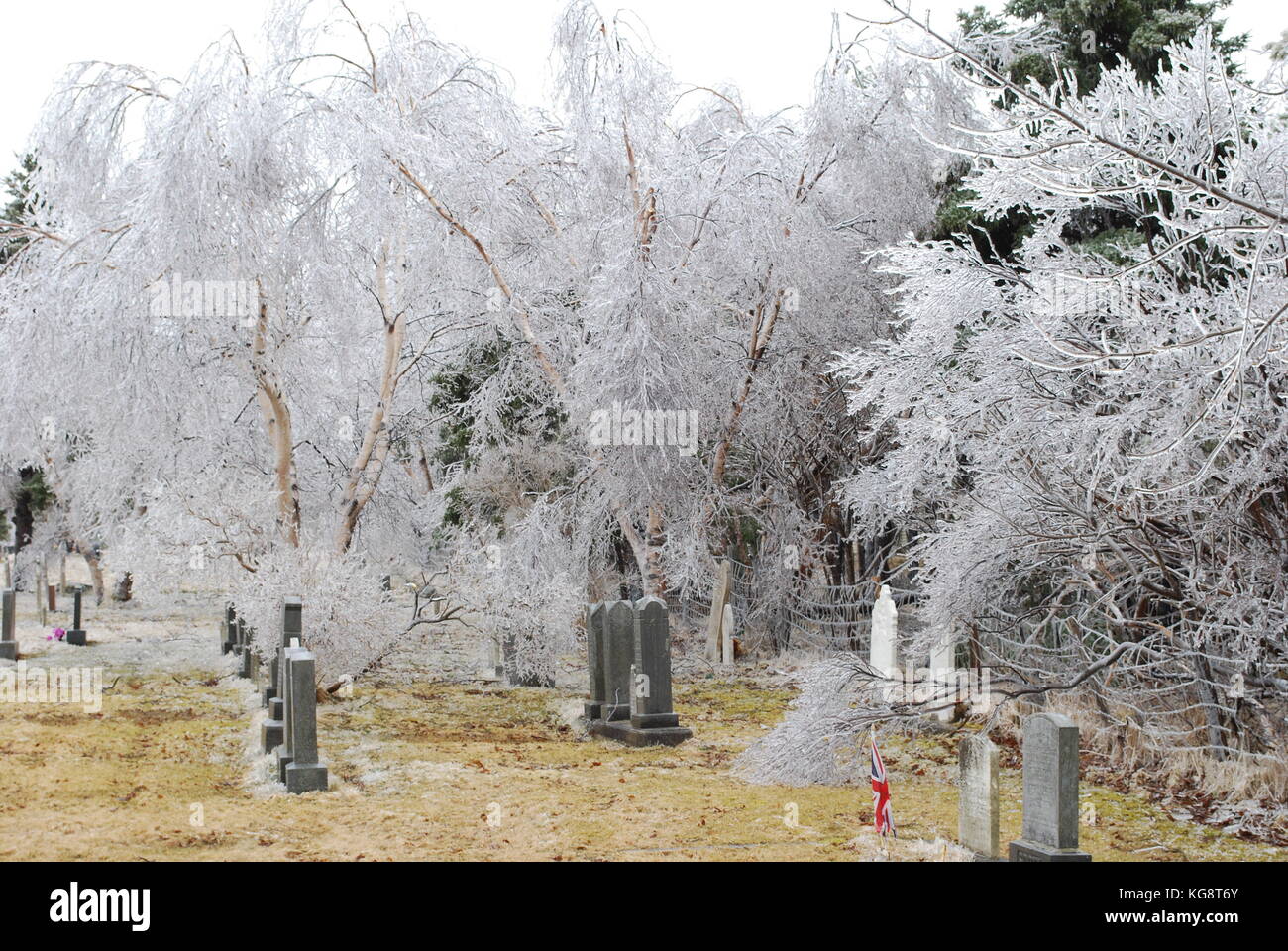 Friedhof nach einem Eissturm. Bäume, Gras, und die Grabsteine mit Eis bedeckt. Stockfoto