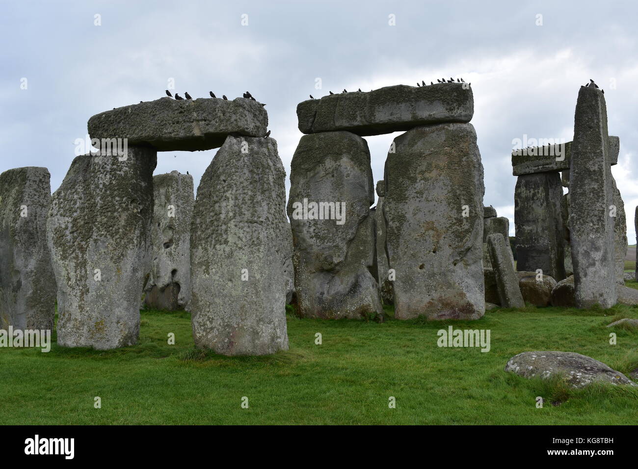 Vögel auf Stonehenge Stockfoto