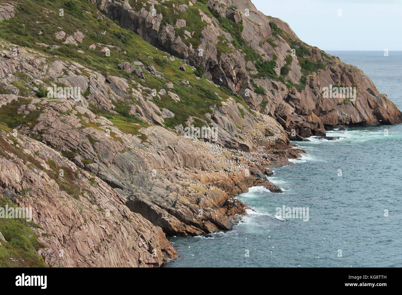 Abschnitt der Küste am Signal Hill, St. John's, Neufundland Stockfoto