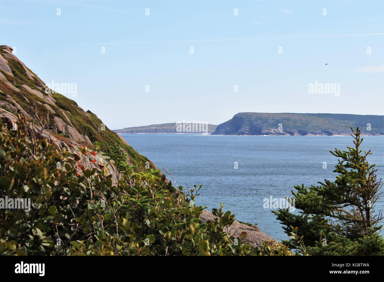 Mit Blick über das Meer in Richtung Freshwater Bay und Cape Spear vom Wanderweg um den Signal Hill, St. John's, Neufundland. Stockfoto