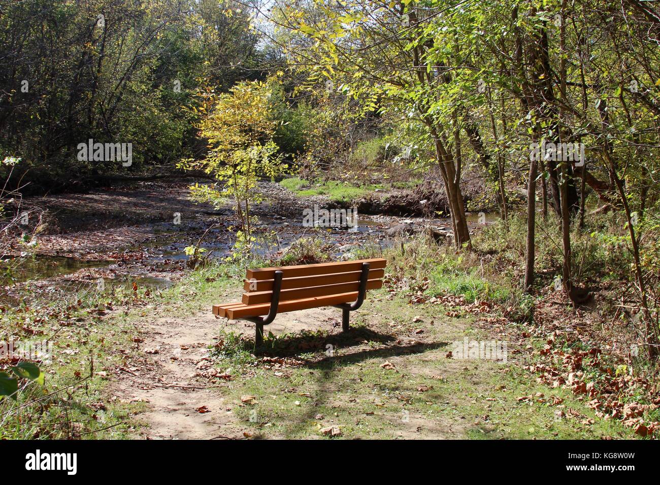 Der Wald im Herbst und einige andere Dinge, die ich auf dem Schuß gefangen. Stockfoto
