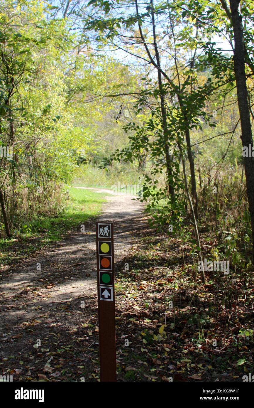 Der Wald im Herbst und einige andere Dinge, die ich auf dem Schuß gefangen. Stockfoto