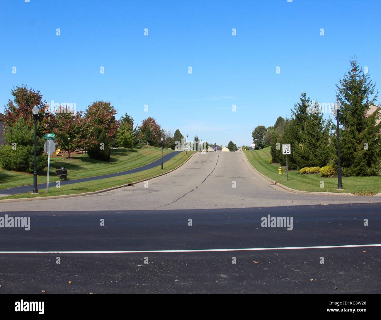 Der Wald im Herbst und einige andere Dinge, die ich auf dem Schuß gefangen. Stockfoto