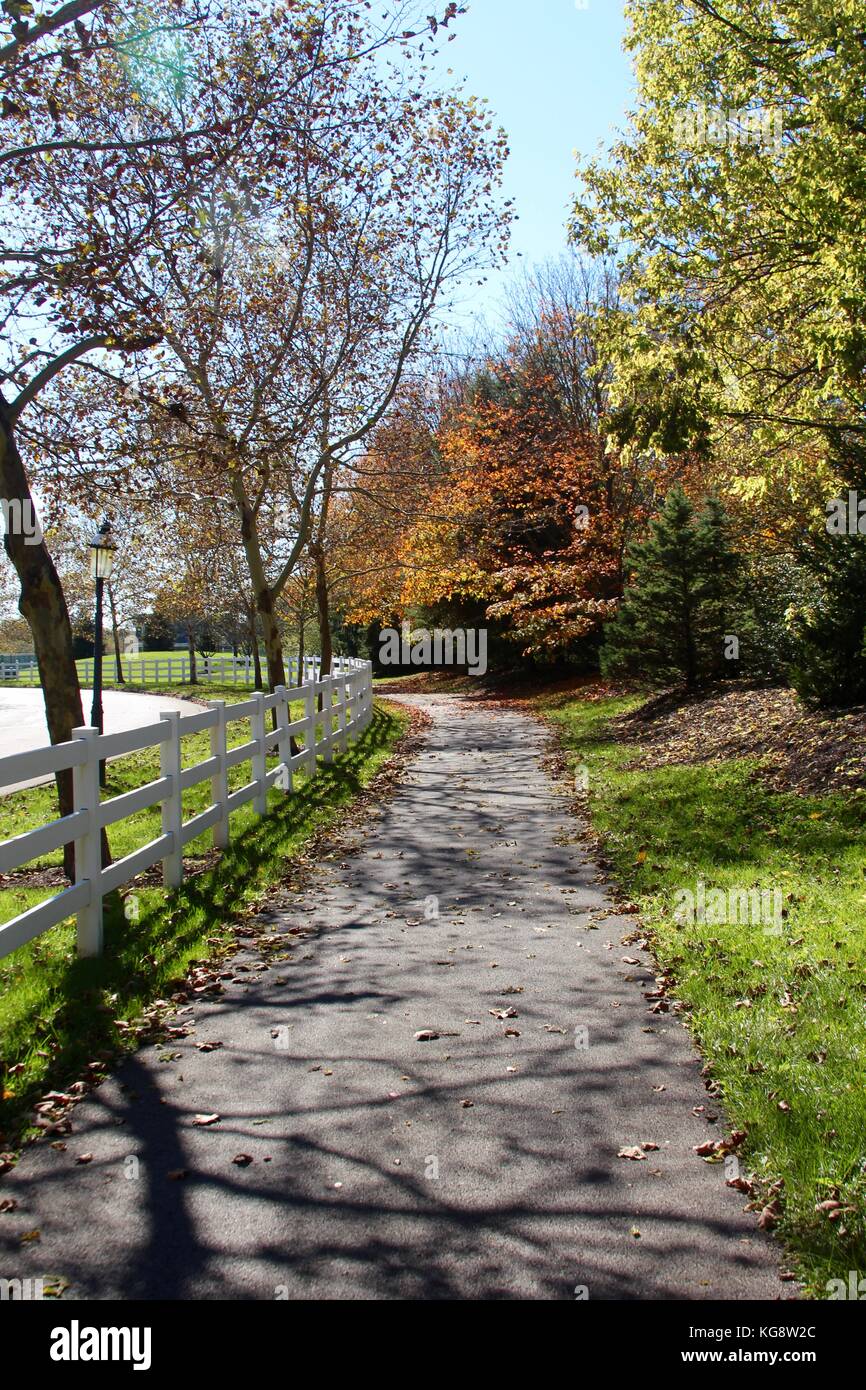 Der Wald im Herbst und einige andere Dinge, die ich auf dem Schuß gefangen. Stockfoto