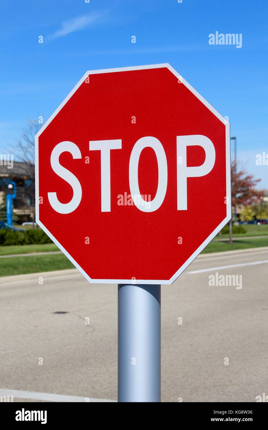 Der Wald im Herbst und einige andere Dinge, die ich auf dem Schuß gefangen. Stockfoto