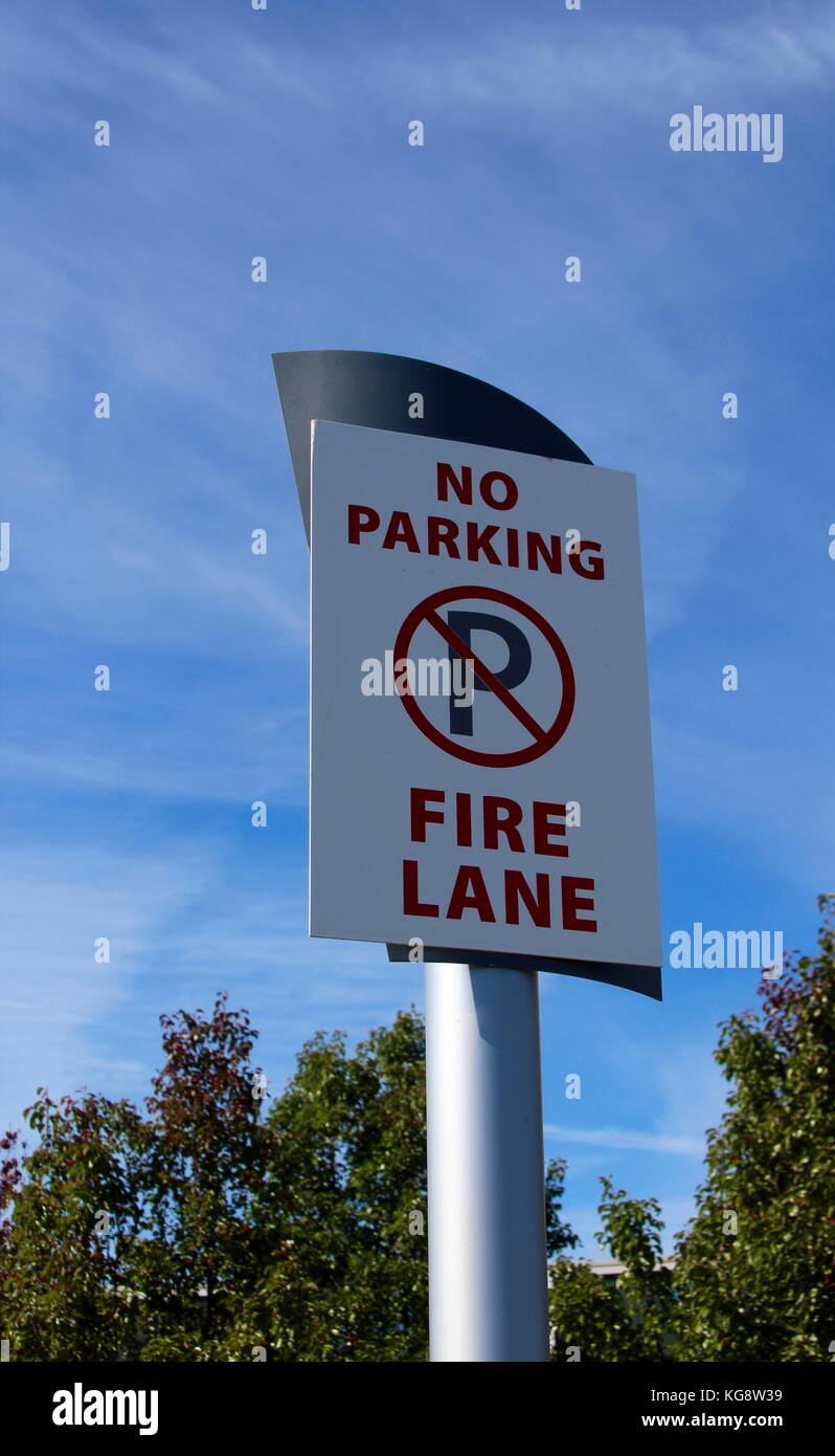 Der Wald im Herbst und einige andere Dinge, die ich auf dem Schuß gefangen. Stockfoto