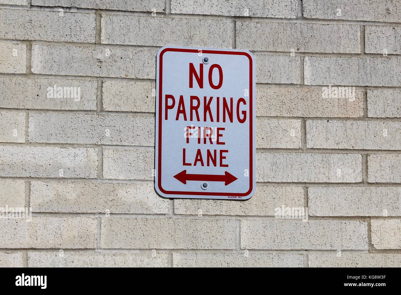 Der Wald im Herbst und einige andere Dinge, die ich auf dem Schuß gefangen. Stockfoto