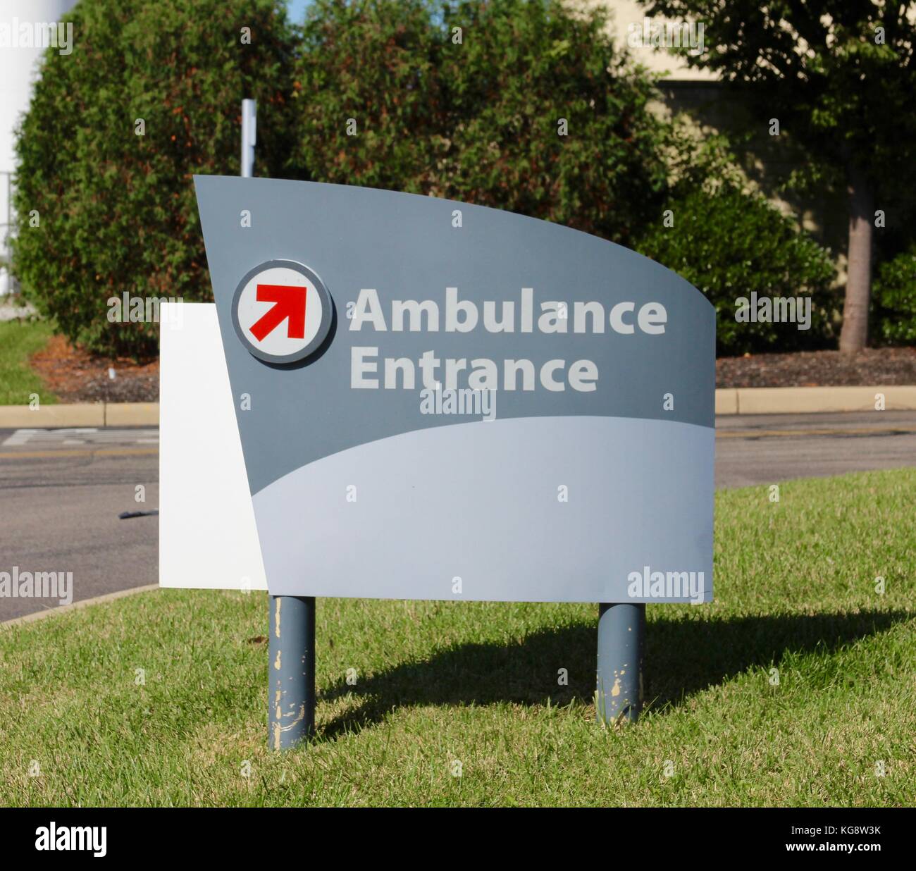 Der Wald im Herbst und einige andere Dinge, die ich auf dem Schuß gefangen. Stockfoto