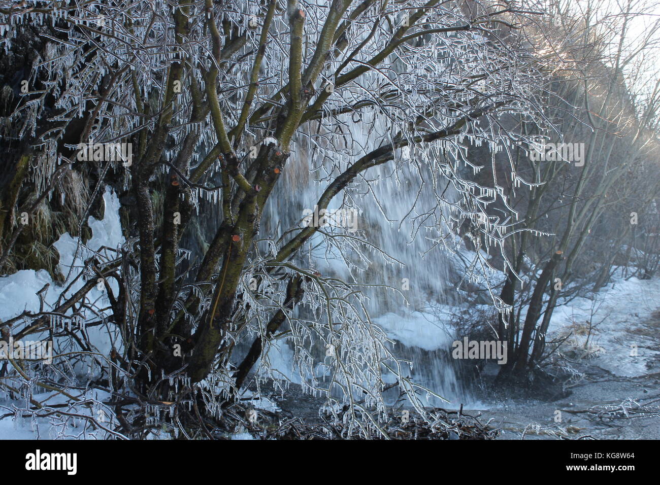 Bäume in Eis, durch den Spray von einem kleinen, am Straßenrand Wasserfall verursacht Stockfoto