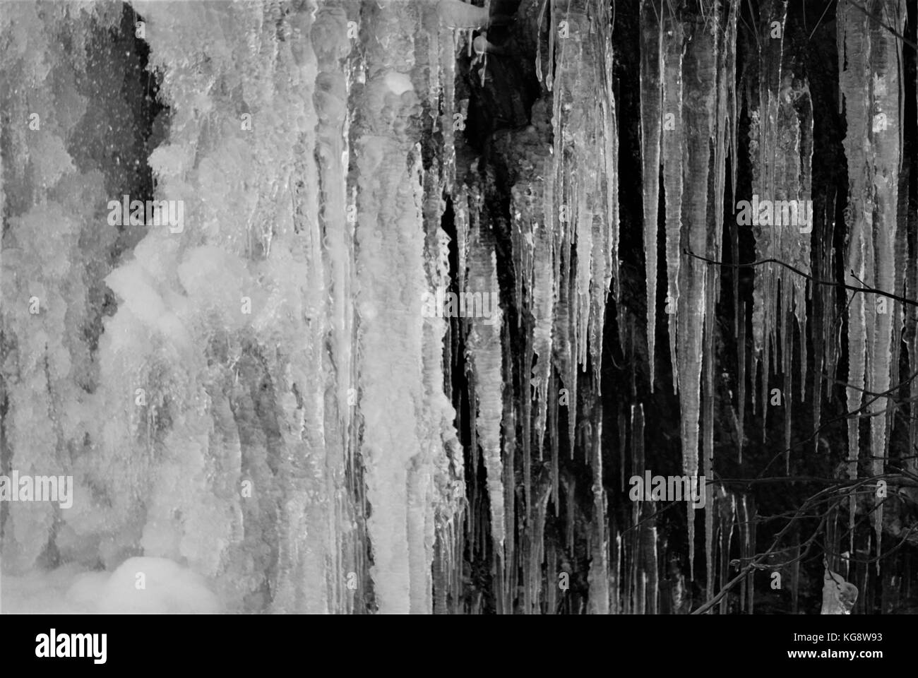 Eiszapfen hängen von der Seite einer felsigen Klippe. schwarz-weiß-Bild Stockfoto