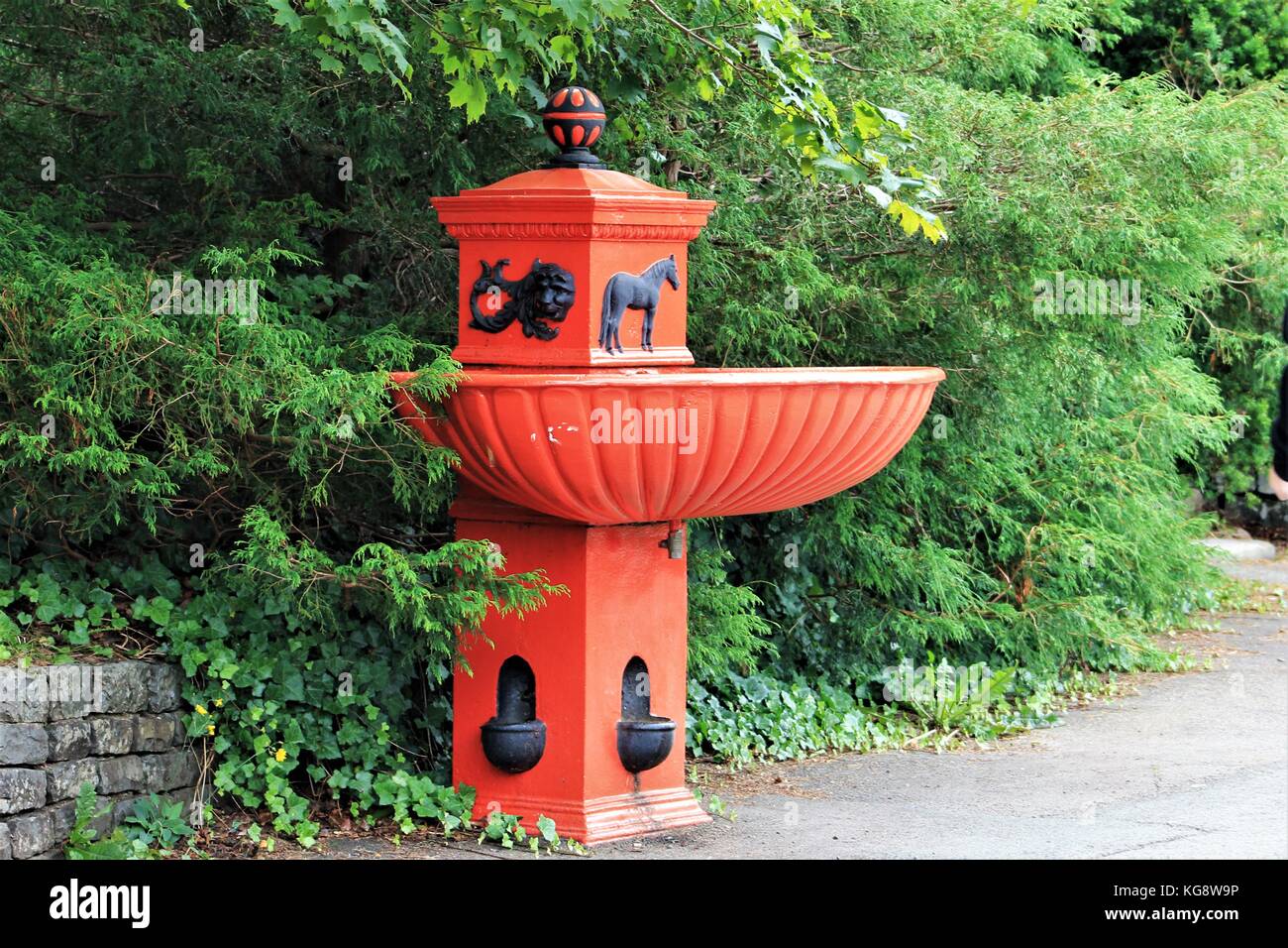 19. jahrhundert Pferd Bewässerung Trog in bowring Park, St. John's, Neufundland und Labrador, Kanada. Stein Stützmauer, saftig grünem Laub. Stockfoto
